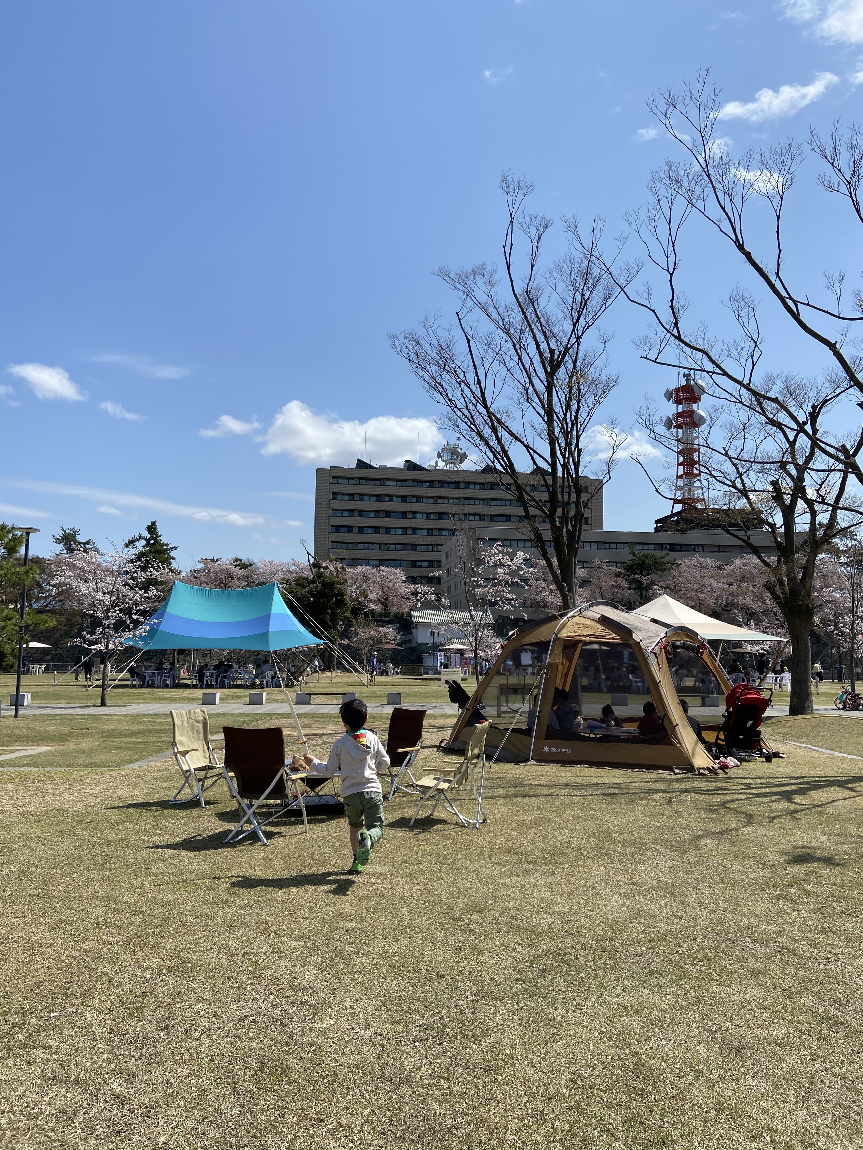 桜の咲く福井市中央公園でアウトドアチェアを使って過ごす来場者