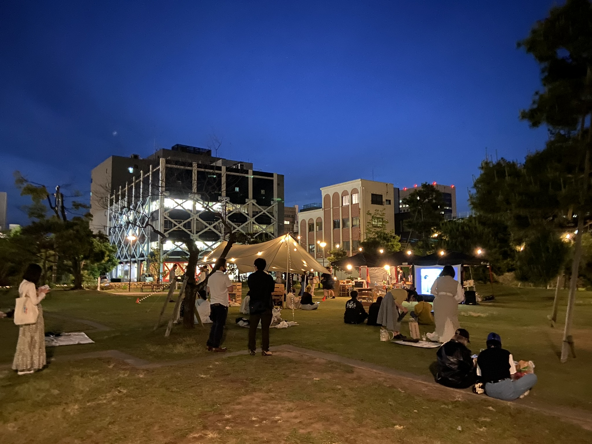 福井市中央公園で開催したナイトピクニックの夜の様子